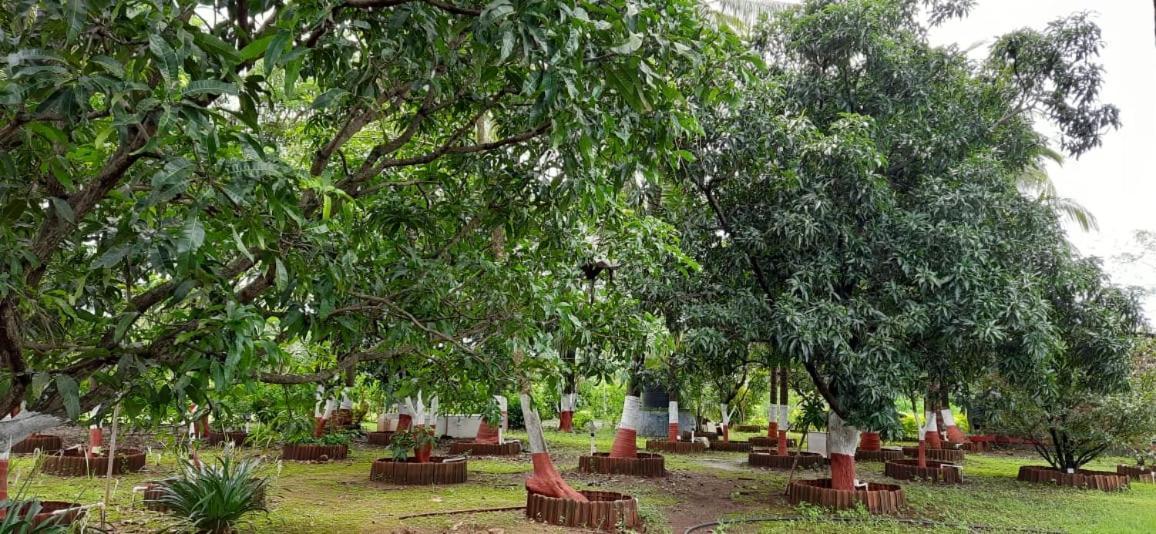 Prajakta Rest House Alībāg Extérieur photo